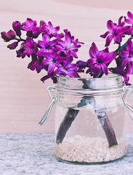 网页版电话攻击